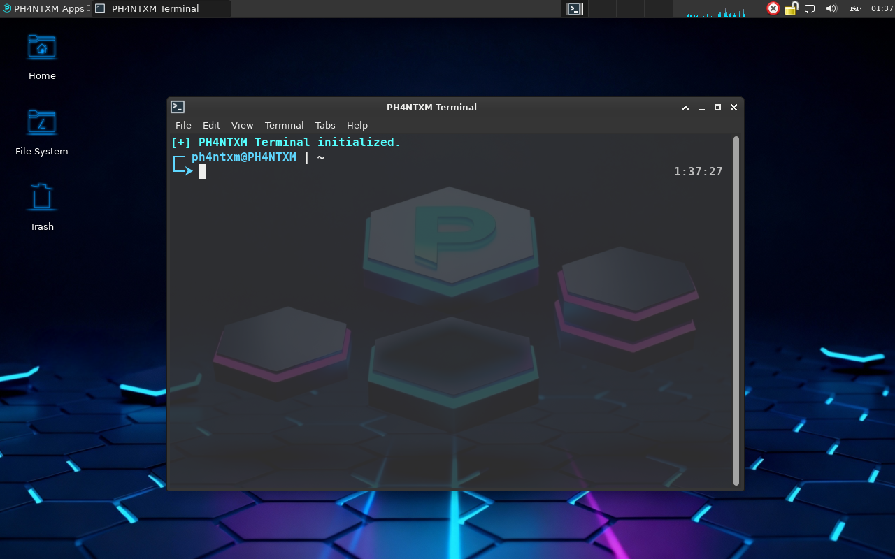 PH4NTXM Desktop Environment